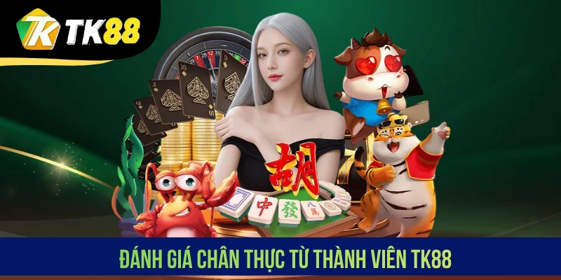 Đánh giá chân thực từ thành viên TK88